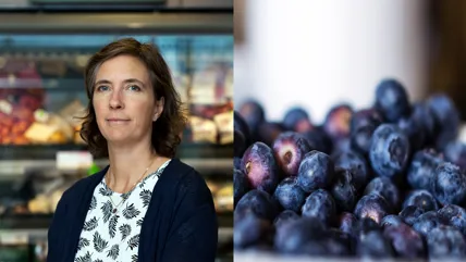 En korthårig kvinna med vit blus och mörk kofta vid sidan om en bild med blåbär